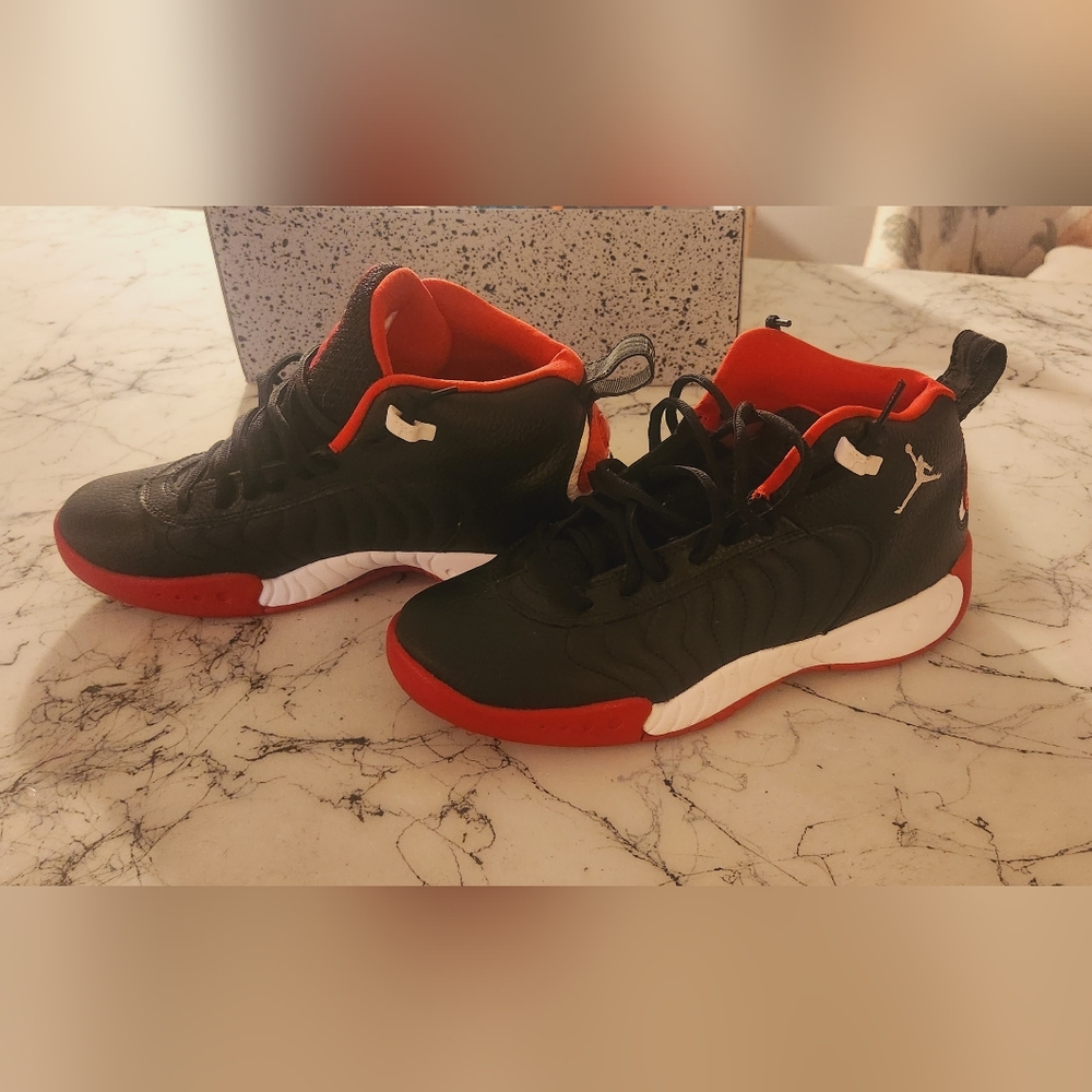 Jordan jumpman pro gs bred